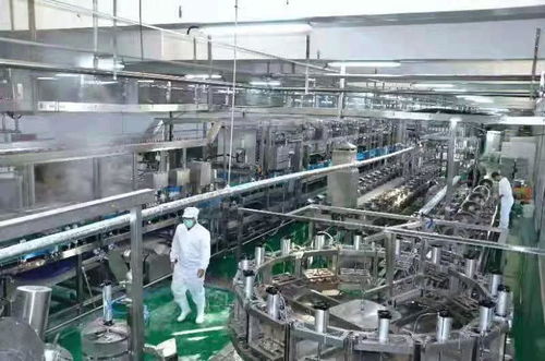 河南南街村豆腐生產線試運行 傳統產業煥新顏，新年運動經營雙輪驅動